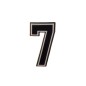 HOKEJAM.LV 3D Helmet Number Sticker