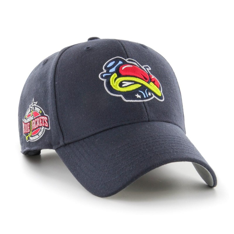 Columbus blue jackets snapback on sale